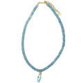 Blue Fish Necklace